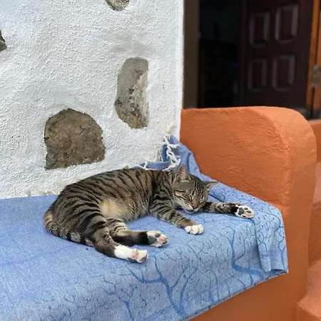Casa Panama *